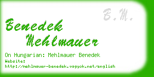 benedek mehlmauer business card